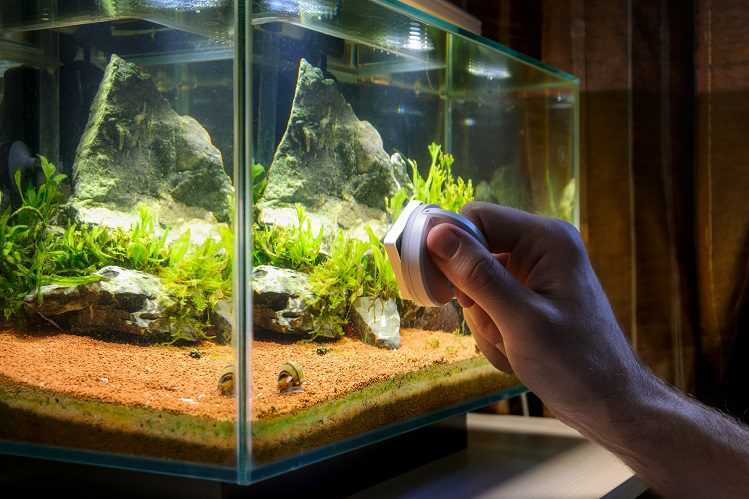 Three Super Aquarium Care Hacks