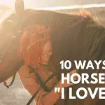 Three things a horse would like to tell you