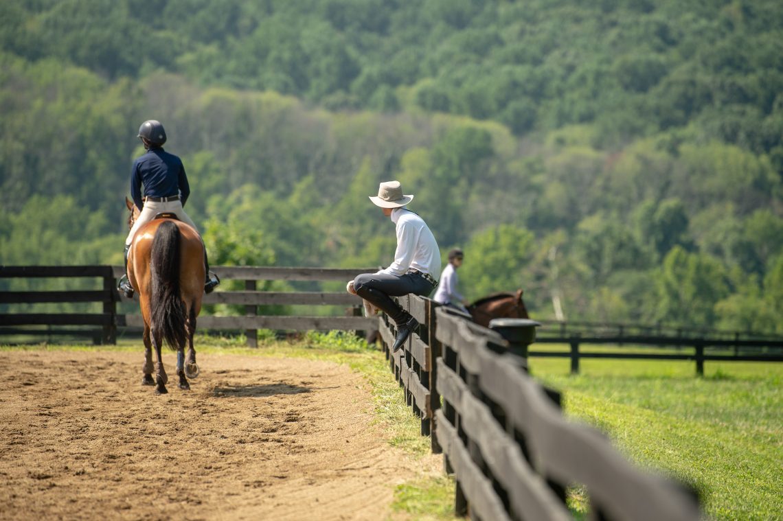 Tips for choosing a trainer in equestrian sports