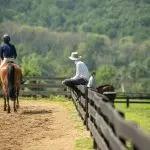 Tips for choosing a trainer in equestrian sports