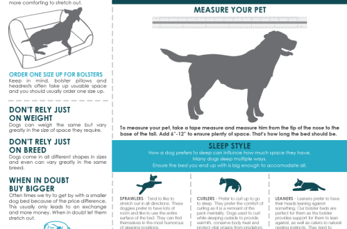 Tips for choosing the right dog size
