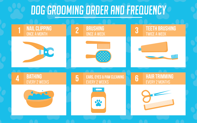 Tips for grooming your dog