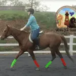 Tips for Instructors: Teaching the Rider to Lighten to the Right Diagonal