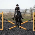 To help the novice show jumper: exercises “for confidence”