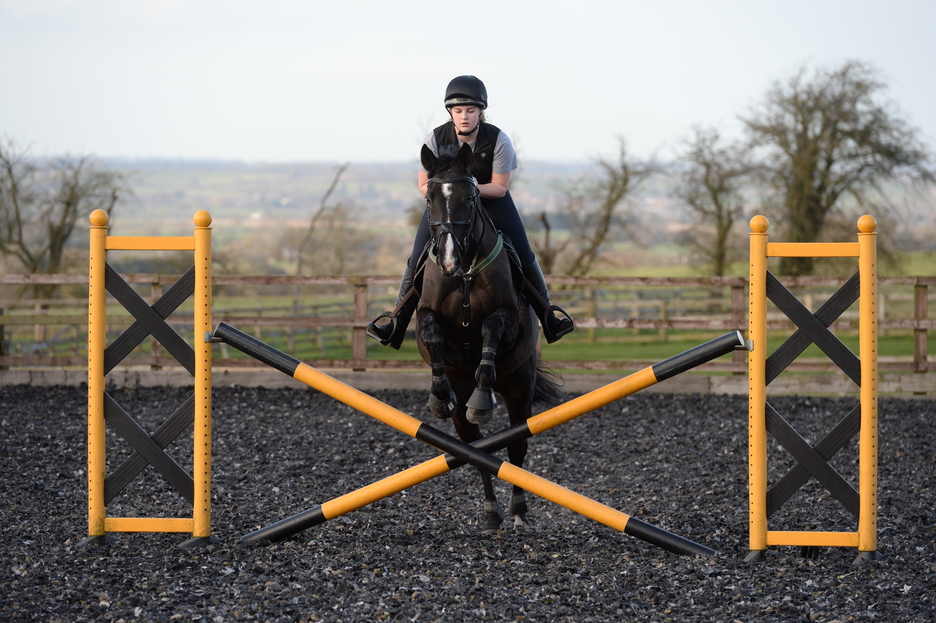 To help the novice show jumper: exercises &#8220;for confidence&#8221;