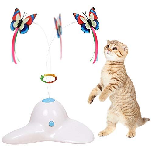 TOP 10 best toys for cats