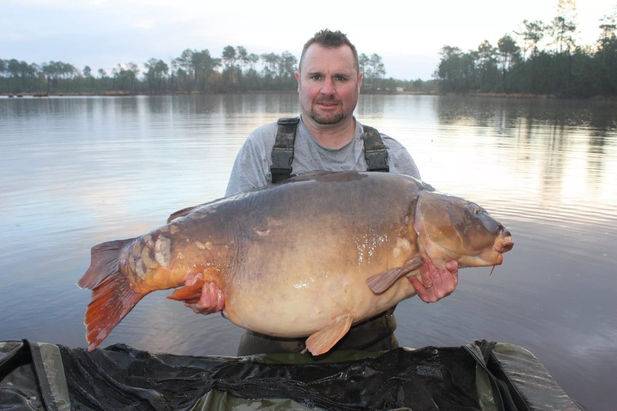 Top 10 biggest carps in the world