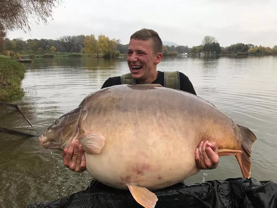 Top 10 biggest carps in the world
