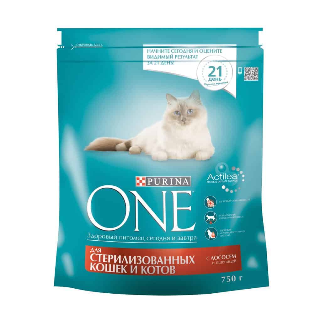 Top 10 Cheapest Cat Foods