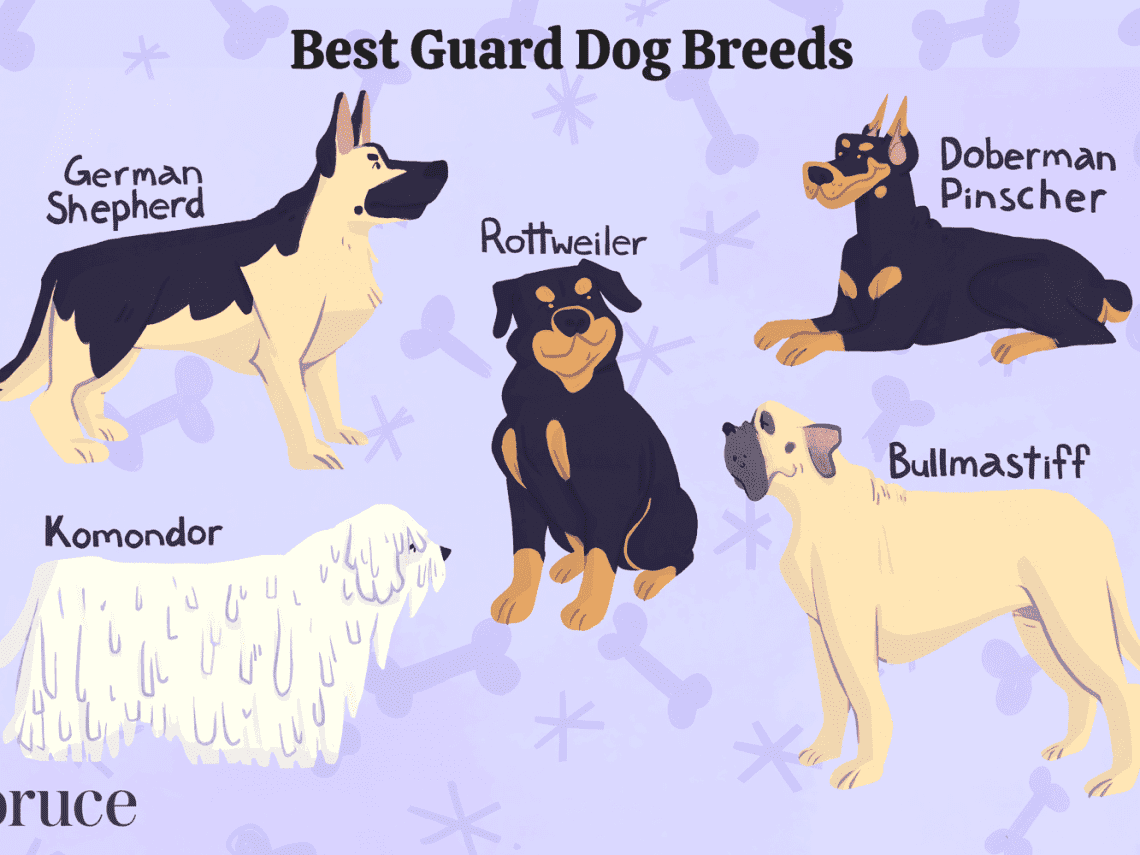 Top 10 Guard Dogs