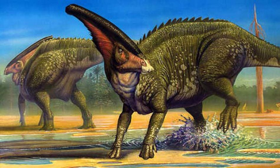 Top 10 largest dinosaurs in the world