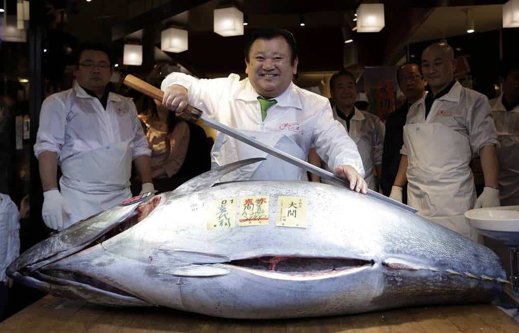 Top 10 most expensive fish in the world