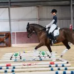Training trot: feeling or skill?