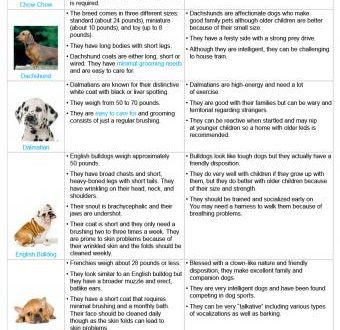 Traits and characteristics of the characters of dogs &#8211; for seven classes of breeds
