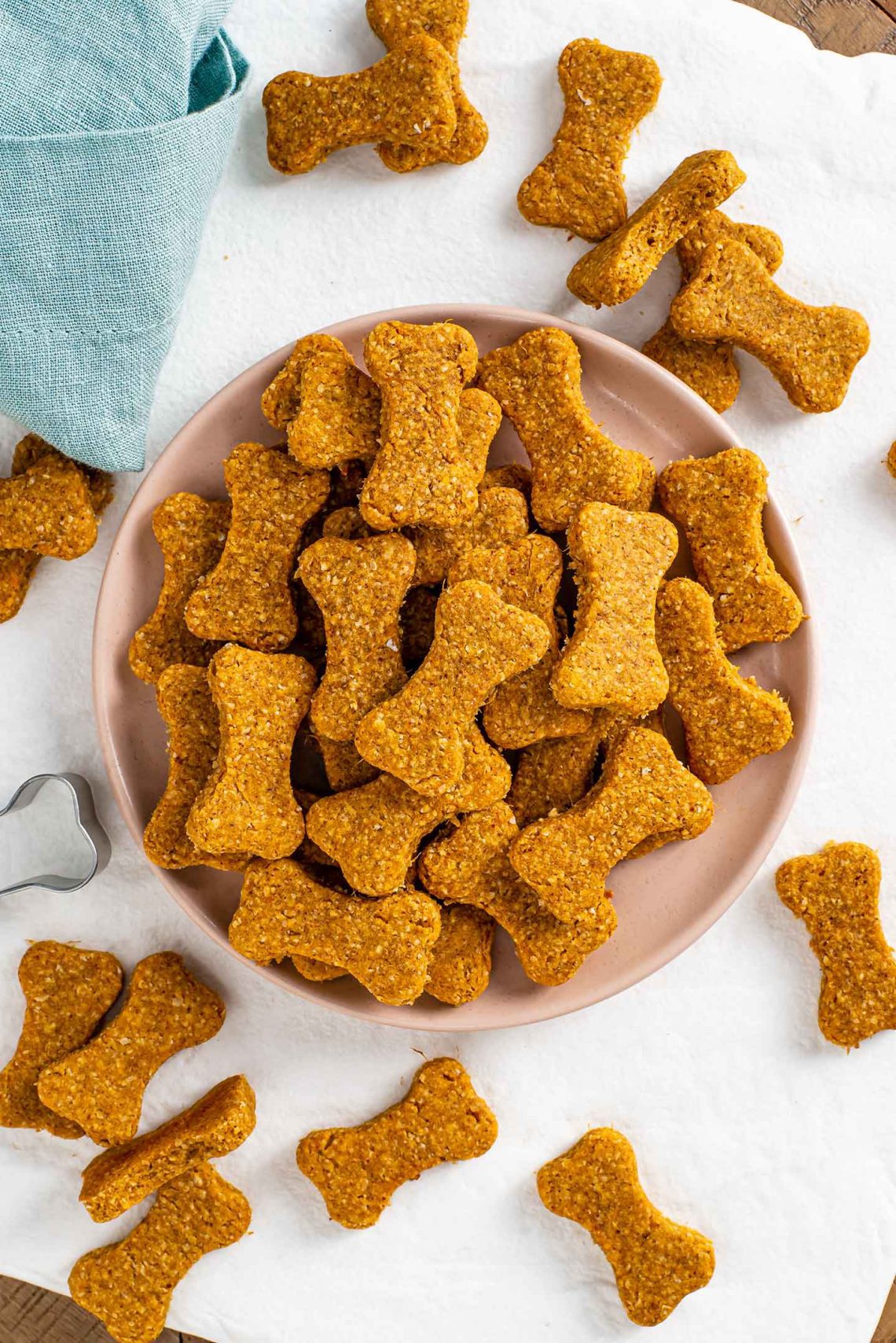 Treats for dogs: what and when to treat