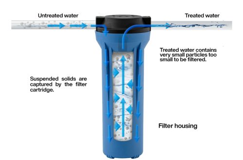 Types of filters for purifying water in an aquarium and how to install a filter yourself