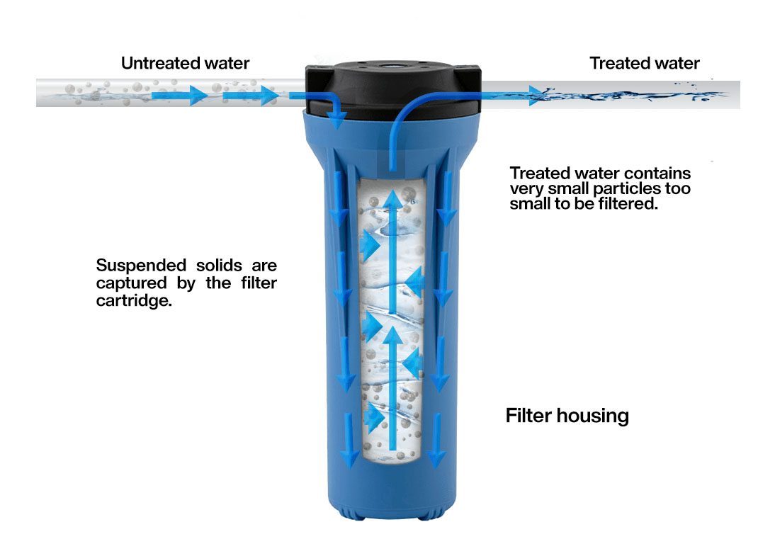 Types of filters for purifying water in an aquarium and how to install a filter yourself