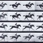 Uncontrolled gallop: overcome and reduce