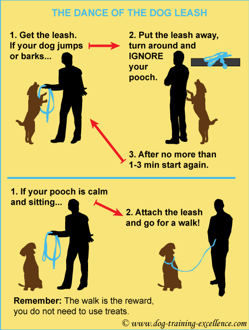 Useful dog walking tips