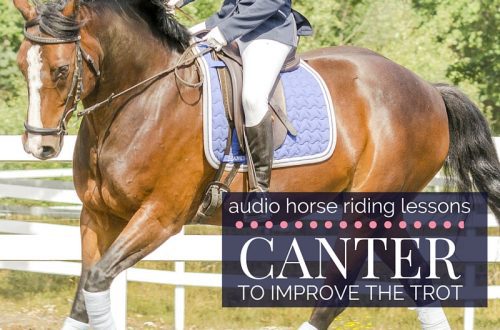 Using the canter to improve the quality of the trot