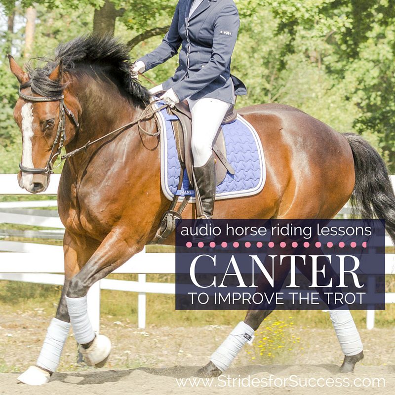 Using the canter to improve the quality of the trot