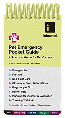 Veterinary first aid kit for dogs: a list of essentials
