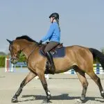 Visualization: equestrian training without a horse