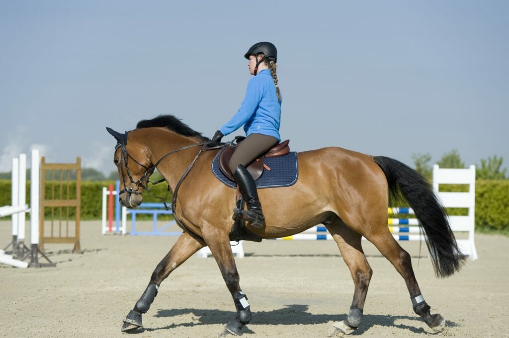 Visualization: equestrian training without a horse