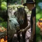 Vitamin pizza for the horse