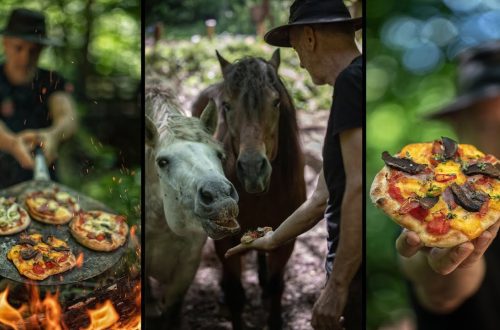 Vitamin pizza for the horse