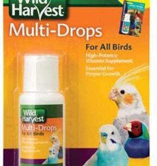 Vitamins for budgerigars &#8211; the key to proper diet and bird health
