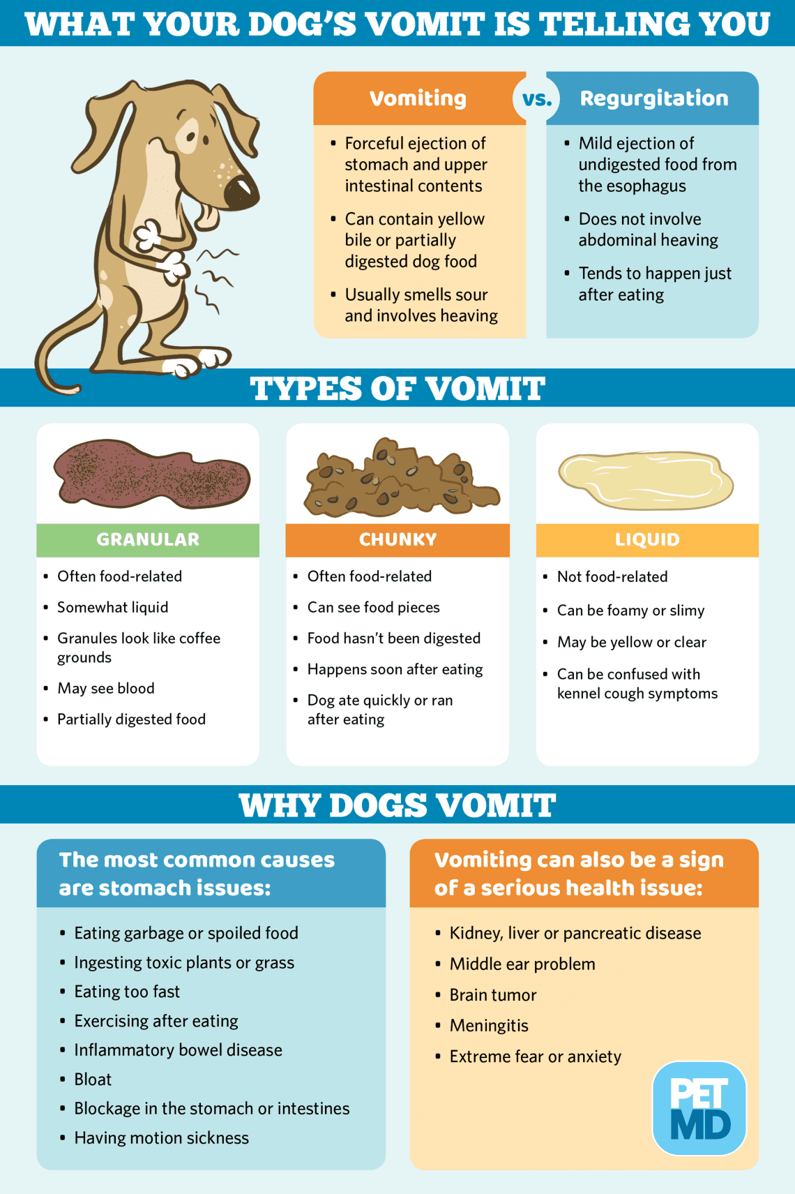 Vomiting in Dogs: Causes and Treatment