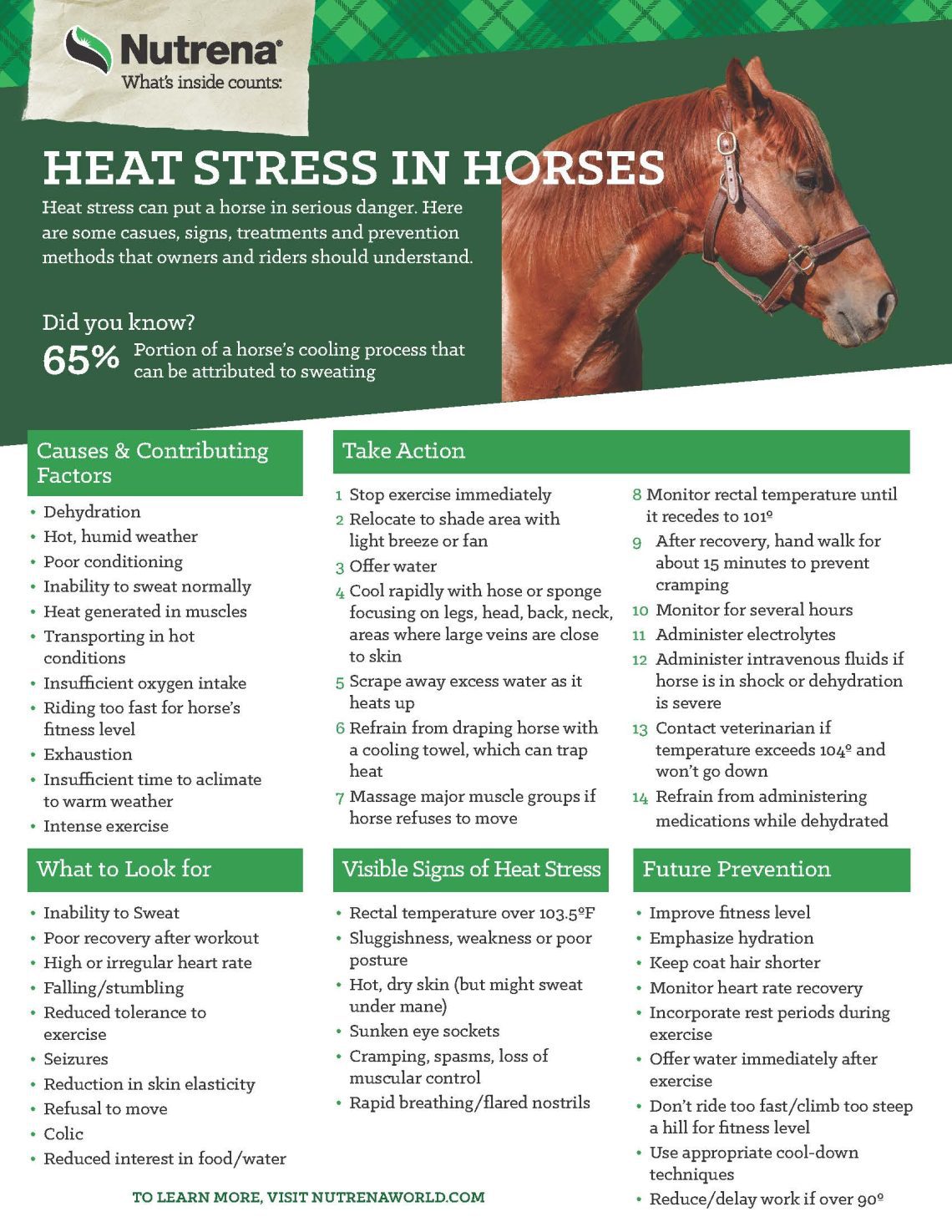 Warming up a &#8220;hot&#8221; horse: how to pay off excessive stress