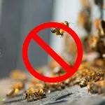 Ways to scare away wild bees