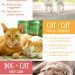 How to choose the cat breed that&#8217;s right for you