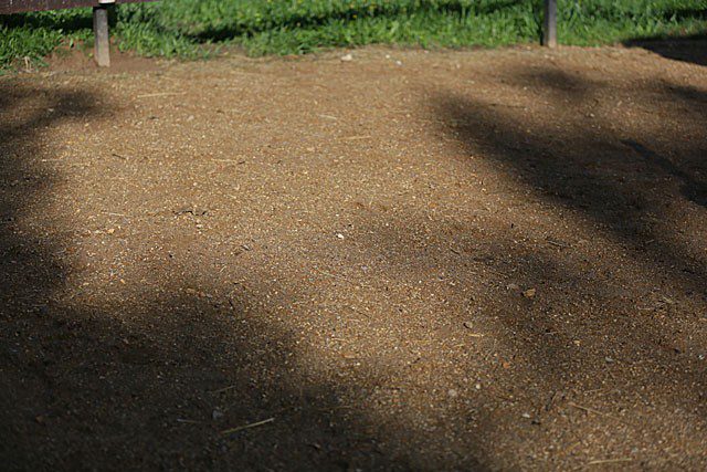 We arrange the soil in the paddock