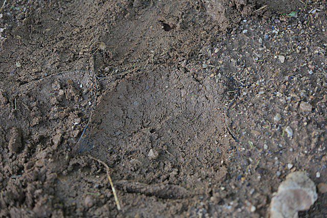 We arrange the soil in the paddock