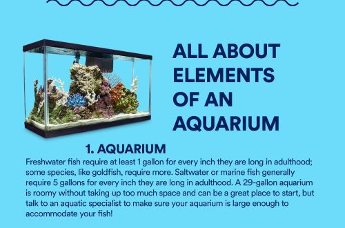 We make a lid for an aquarium with our own hands: a simple and detailed guide to action