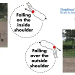 We teach the horse to turn in front