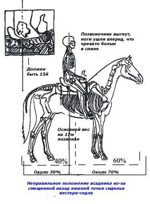 Western saddle and its components