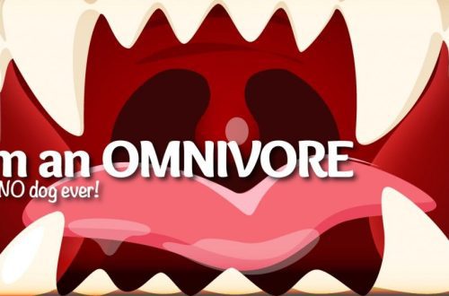 What animal is your dog &#8211; a carnivore or an omnivore?