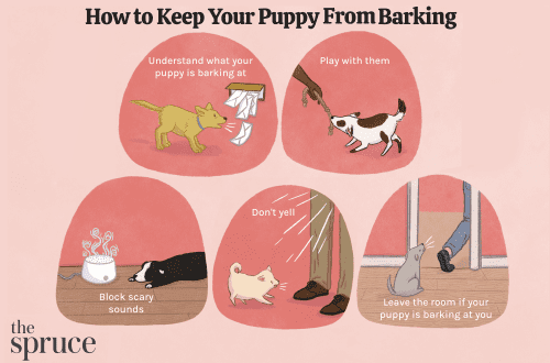 What can I do to stop my dog ​​from barking?