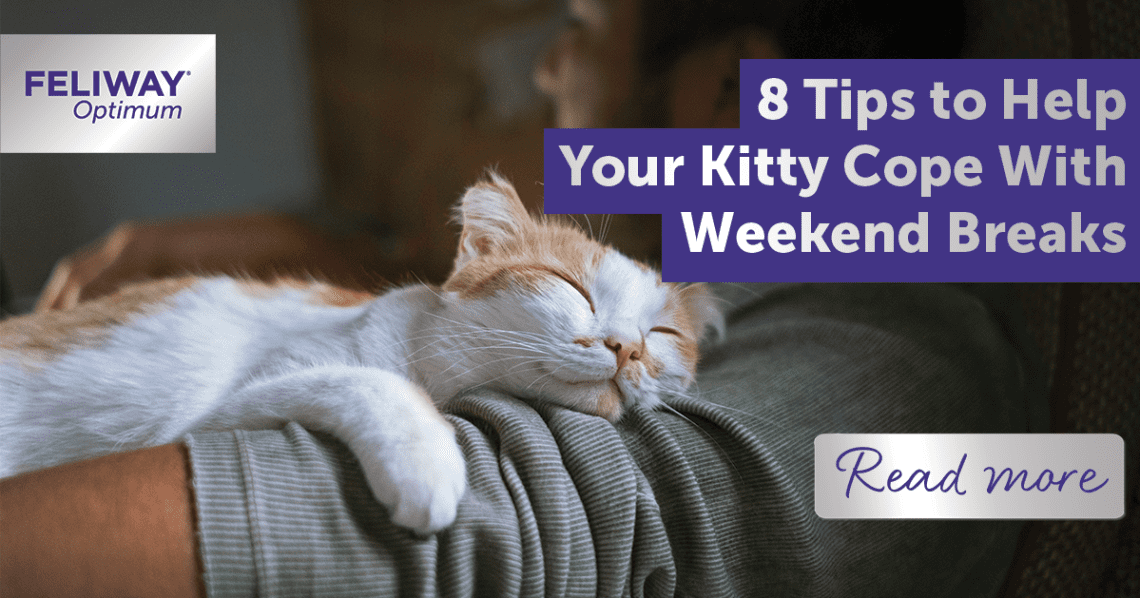 What does your kitty think about the weekend trip?