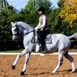 What is the best way to influence the horse with its own weight?