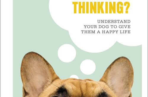 What is your dog thinking?