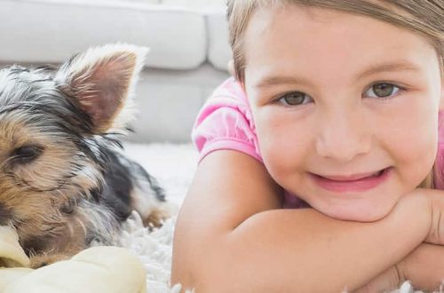 What to do if a child asks for a puppy