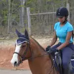 What to do if a horse makes you nervous?