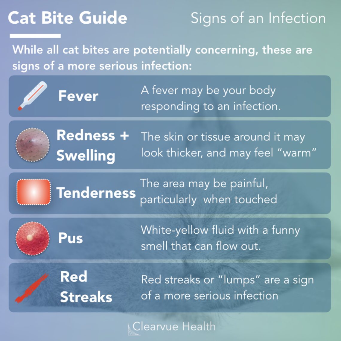 What to do if bitten by a cat