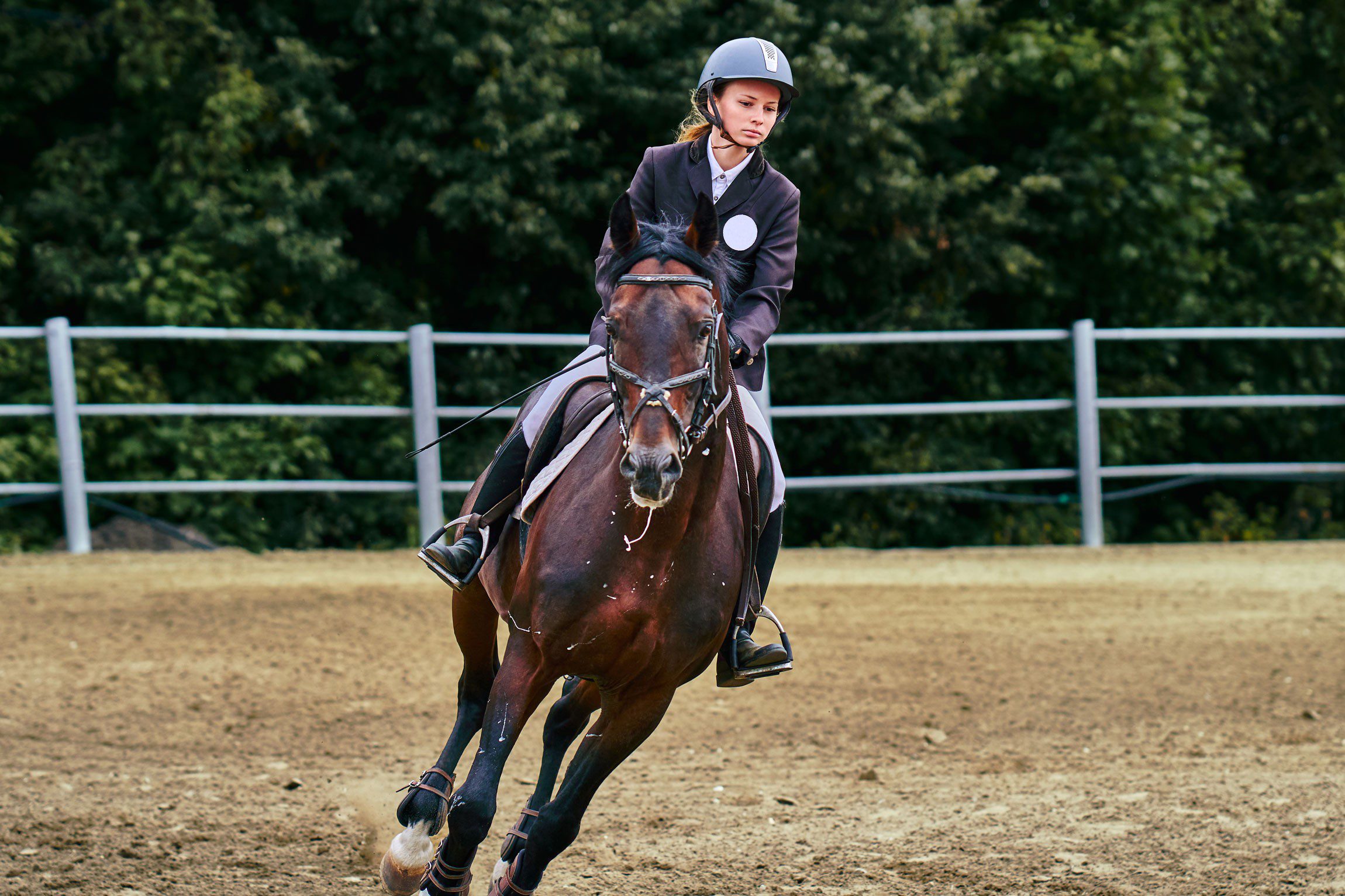 What to do if the horse &#8220;pulls&#8221; at a gallop?