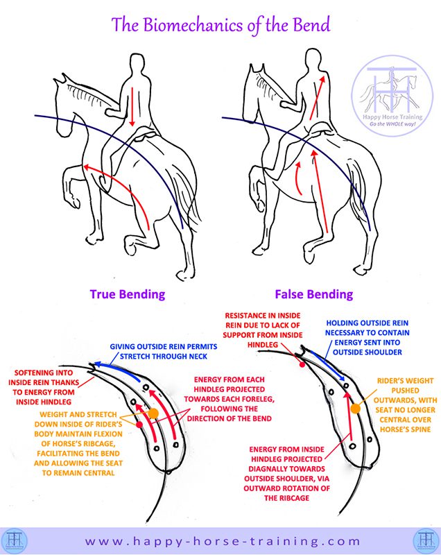 What to do if the horse shows resistance during training?